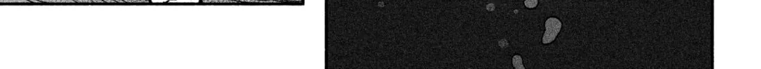 Make the Exorcist Fall in Love Chapter 14 page 8 - 
