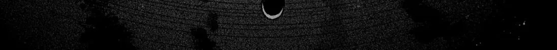 Make the Exorcist Fall in Love Chapter 41 page 32 - 