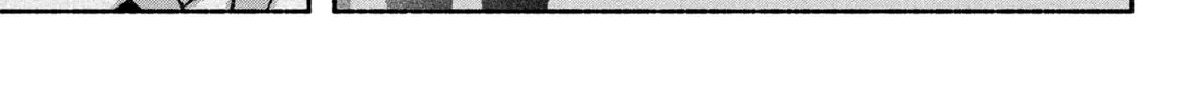 Make the Exorcist Fall in Love Chapter 48 page 32 - 