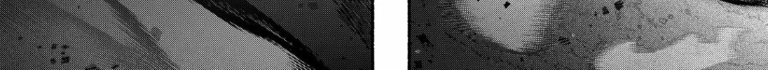 Make the Exorcist Fall in Love Chapter 95 page 46 - 