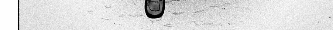 Make the Exorcist Fall in Love Chapter 97 page 28 - 
