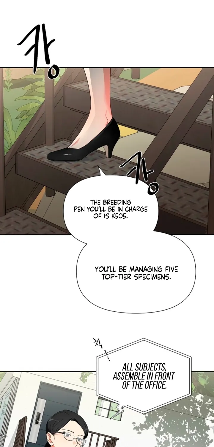Males In The Breeding Room Chapter 1 page 23 - 