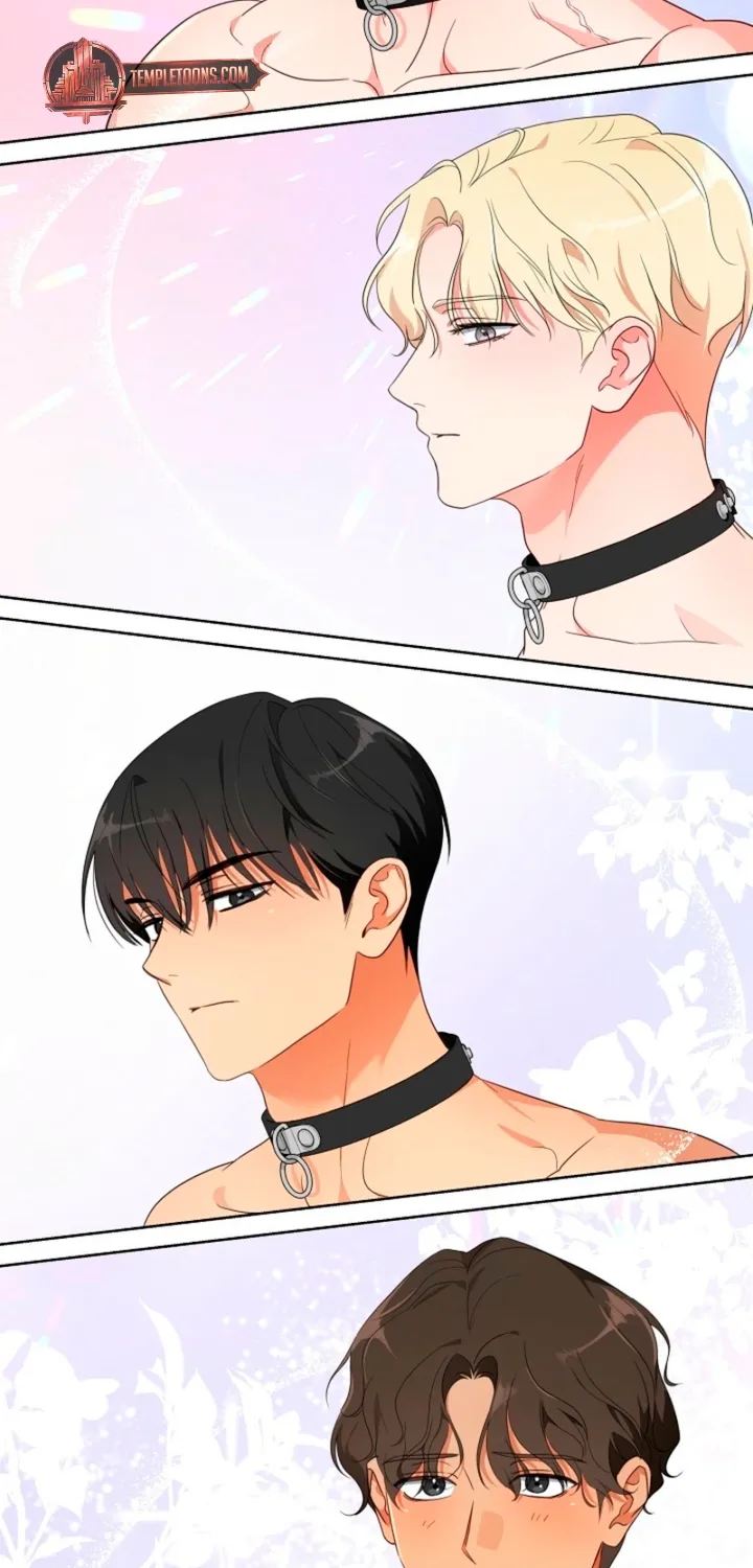 Males In The Breeding Room Chapter 1 page 37 - 