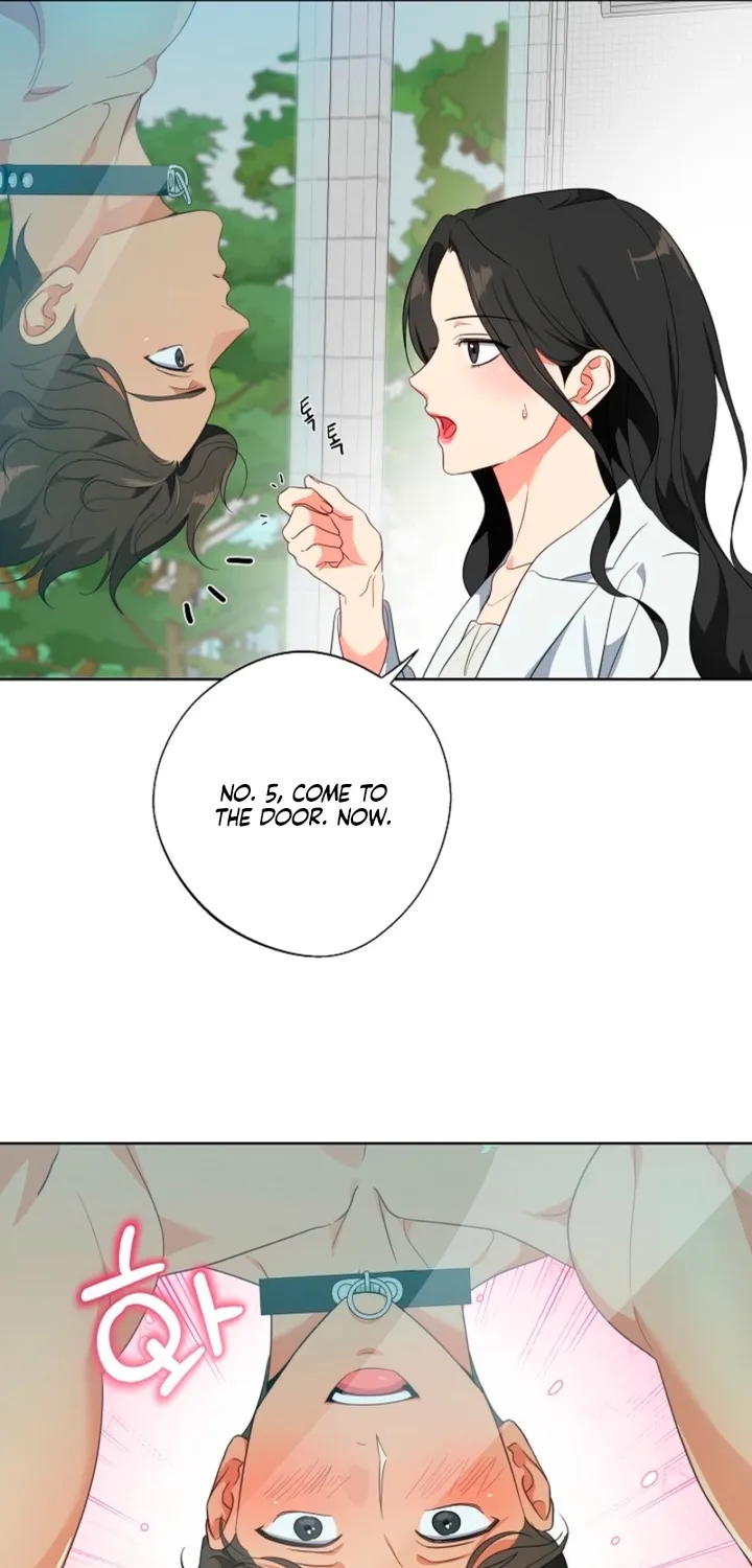 Males In The Breeding Room Chapter 1 page 65 - 