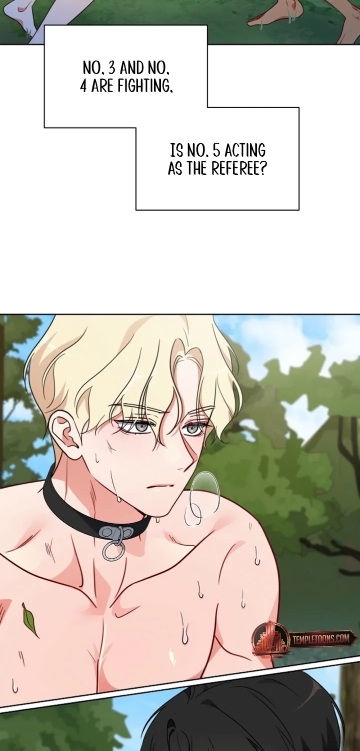 Males In The Breeding Room Chapter 10 page 6 - 