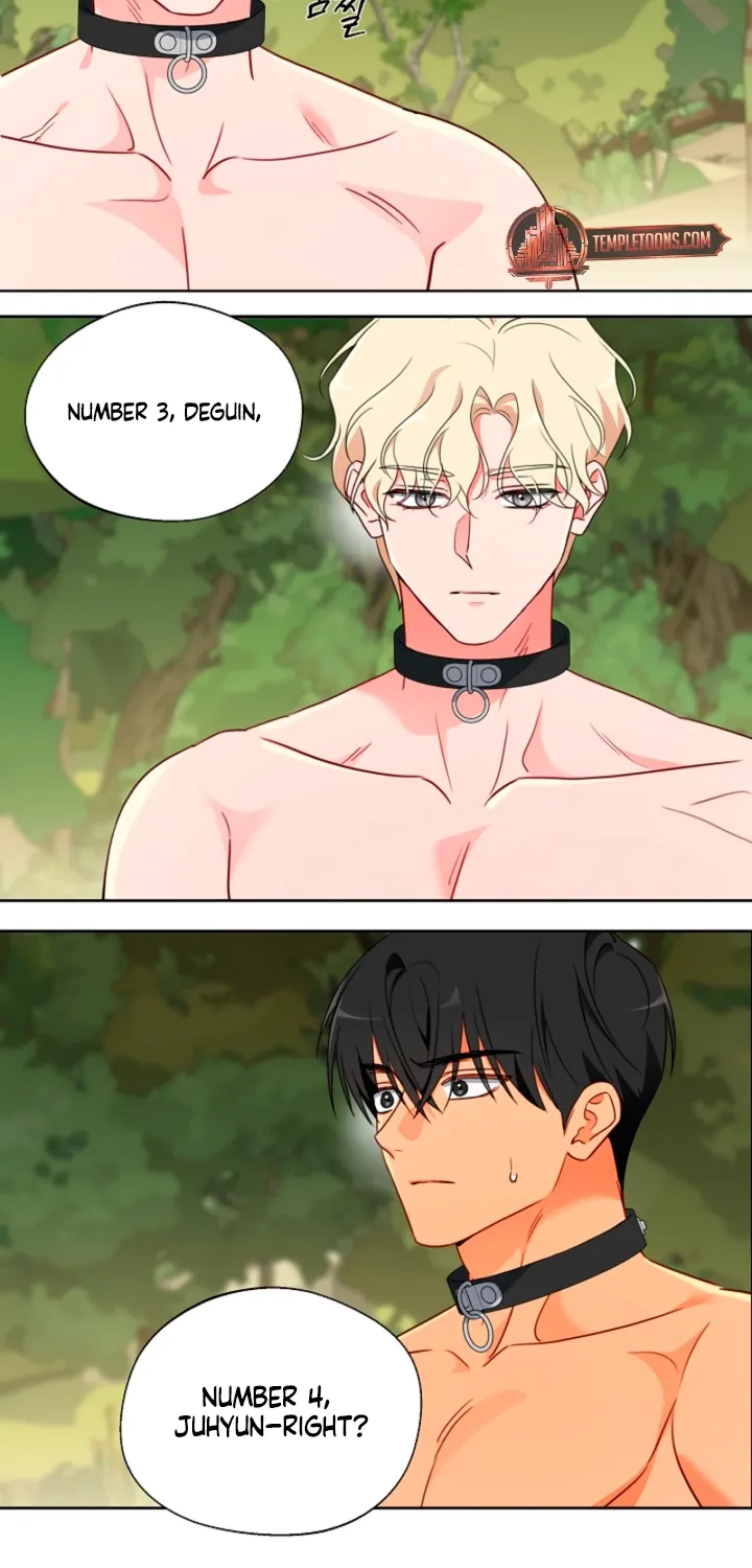 Males In The Breeding Room Chapter 11 page 42 - 