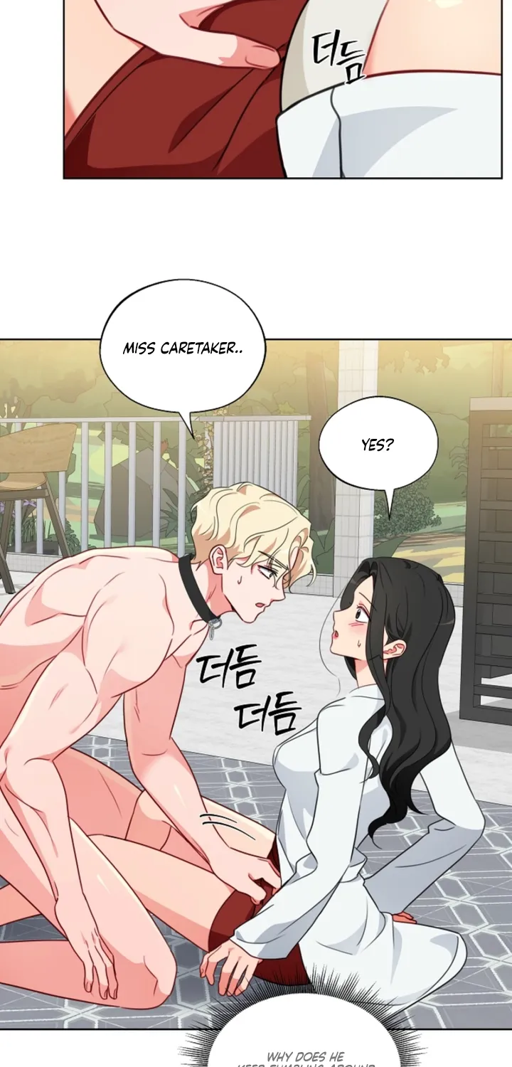 Males In The Breeding Room Chapter 13 page 53 - 