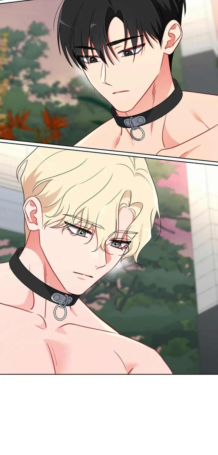 Males In The Breeding Room Chapter 15 page 29 - 