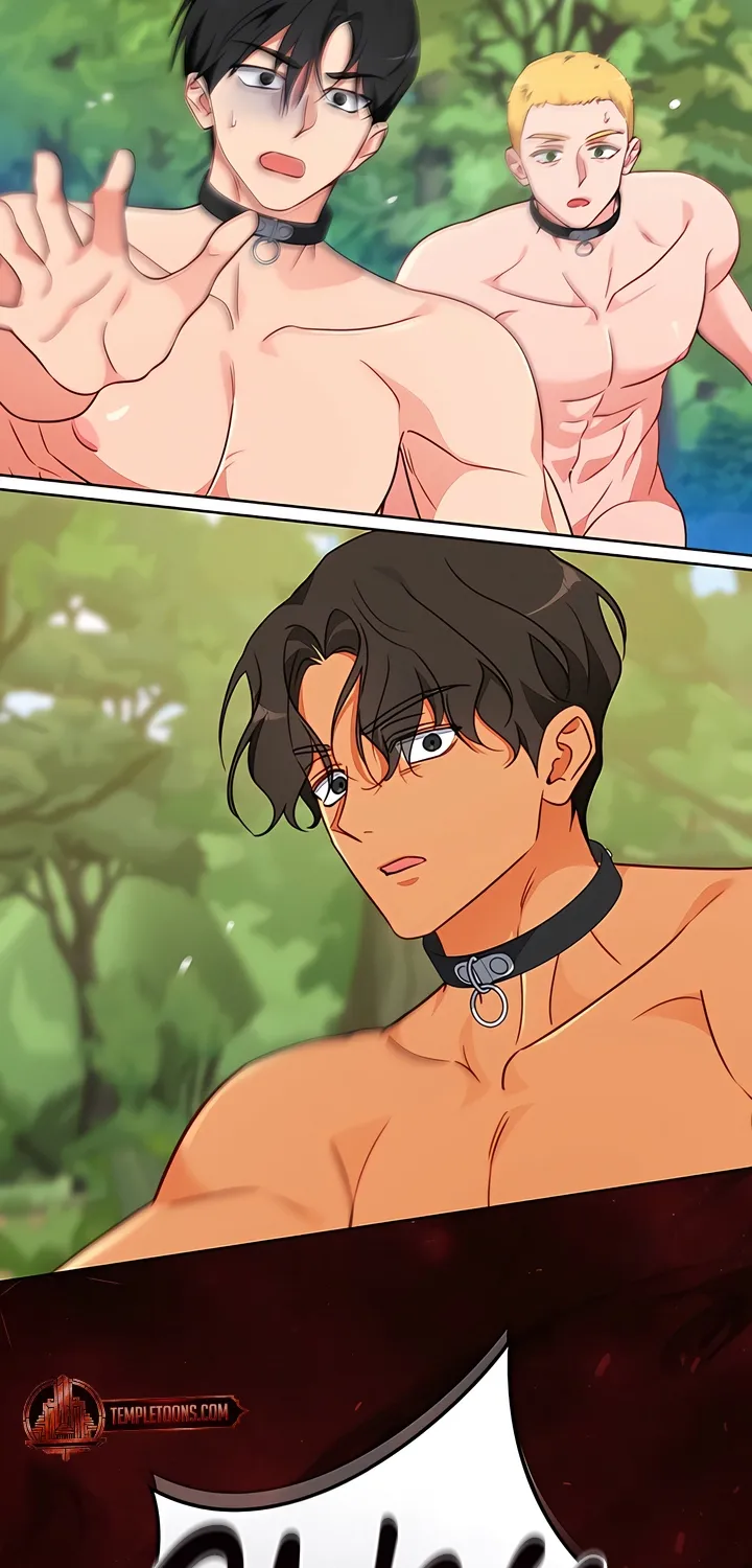 Males In The Breeding Room Chapter 16 page 58 - 