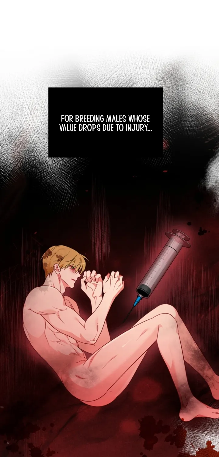 Males In The Breeding Room Chapter 17 page 46 - 