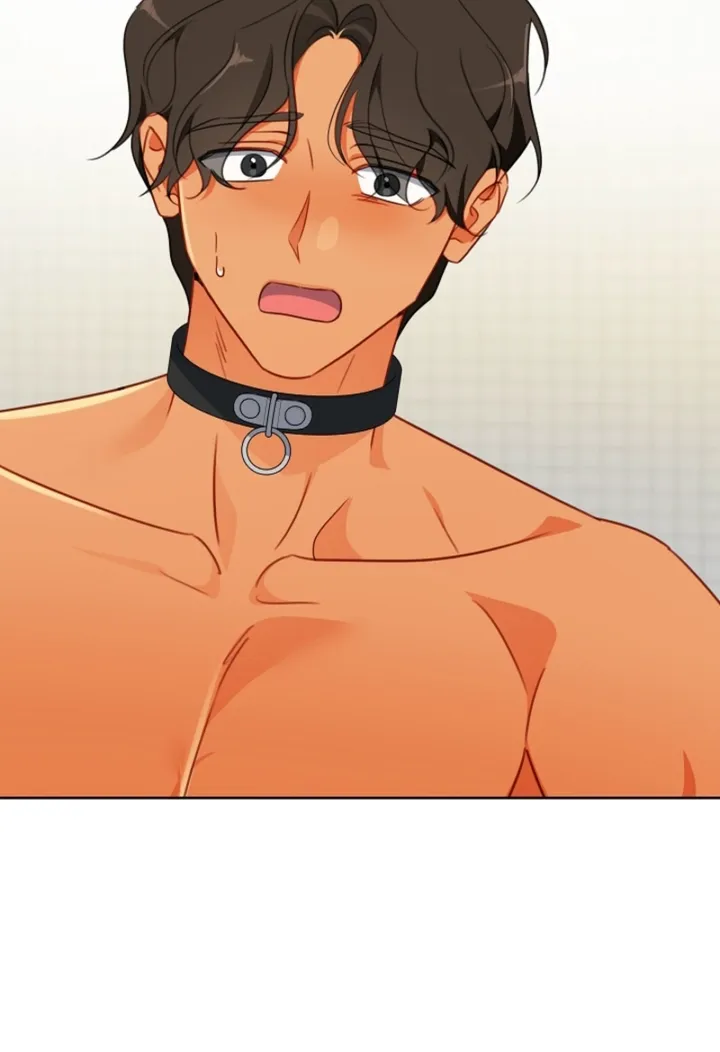 Males In The Breeding Room Chapter 17 page 64 - 