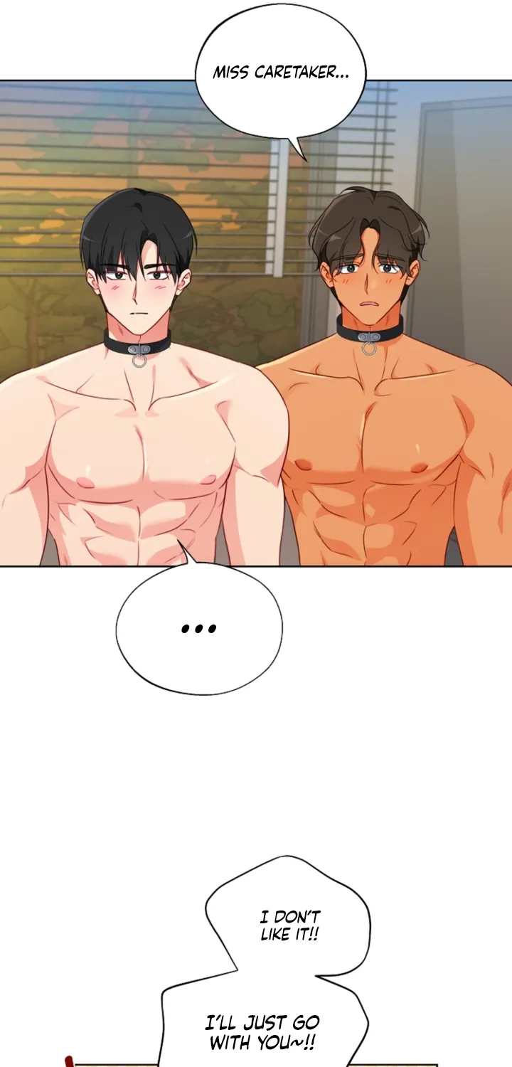 Males In The Breeding Room Chapter 18 page 11 - 