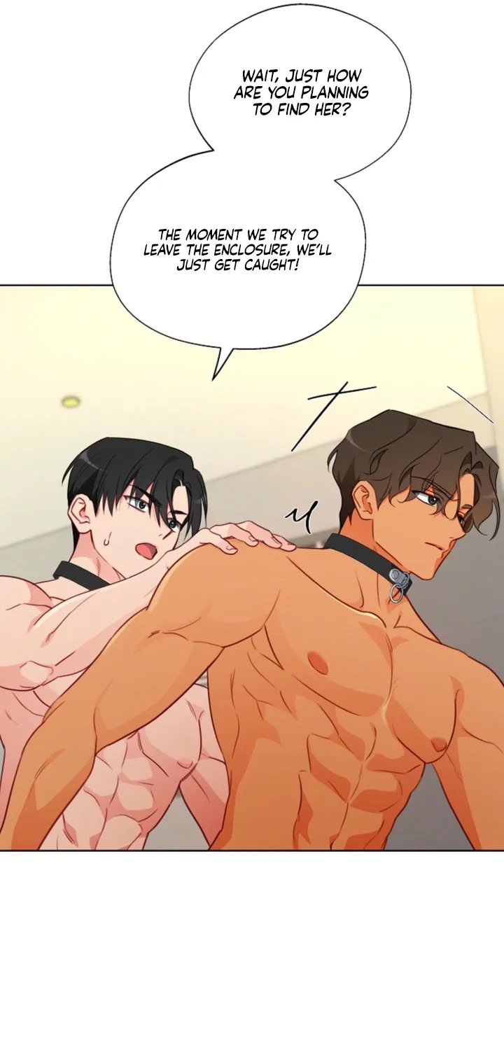 Males In The Breeding Room Chapter 18 page 43 - 