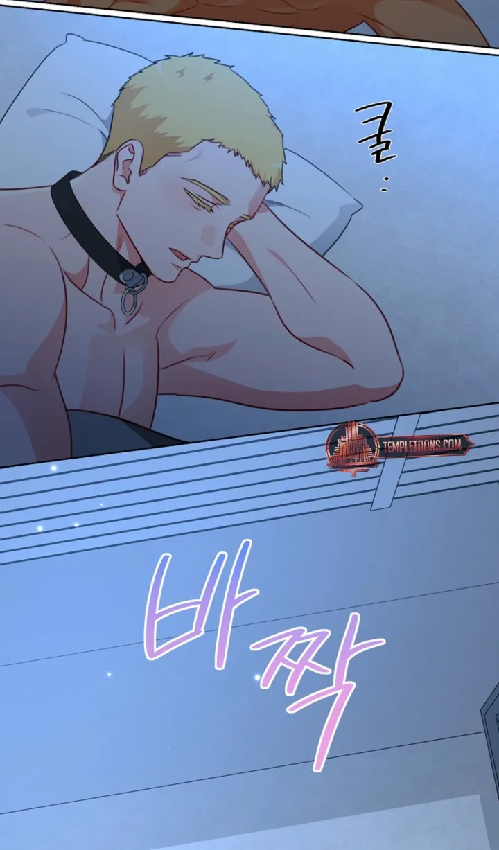 Males In The Breeding Room Chapter 18 page 66 - 