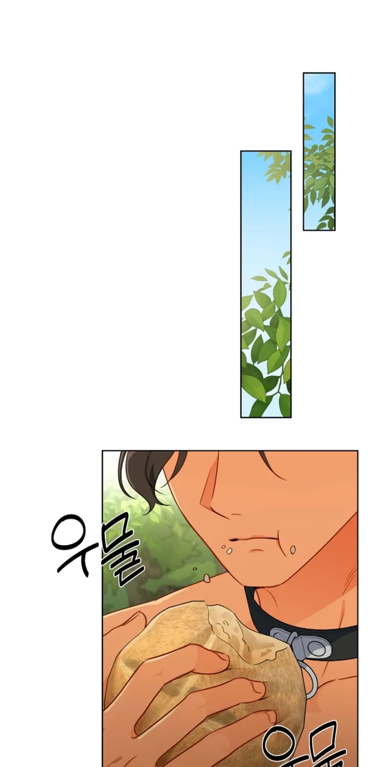 Males In The Breeding Room Chapter 20 page 46 - 