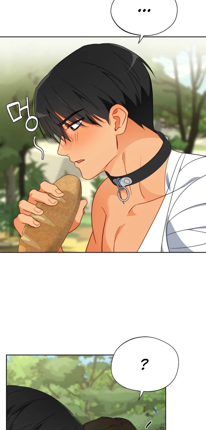 Males In The Breeding Room Chapter 20 page 48 - 
