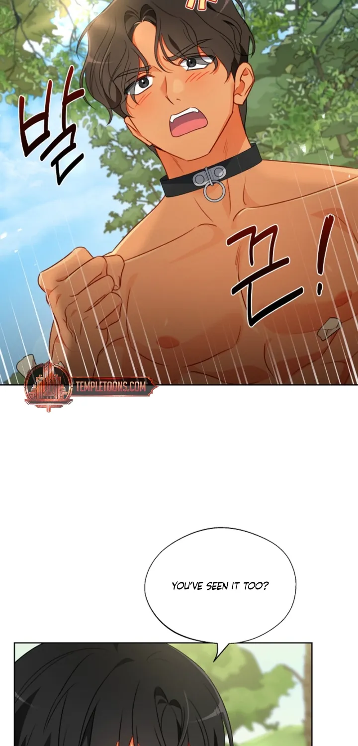 Males In The Breeding Room Chapter 20 page 54 - 