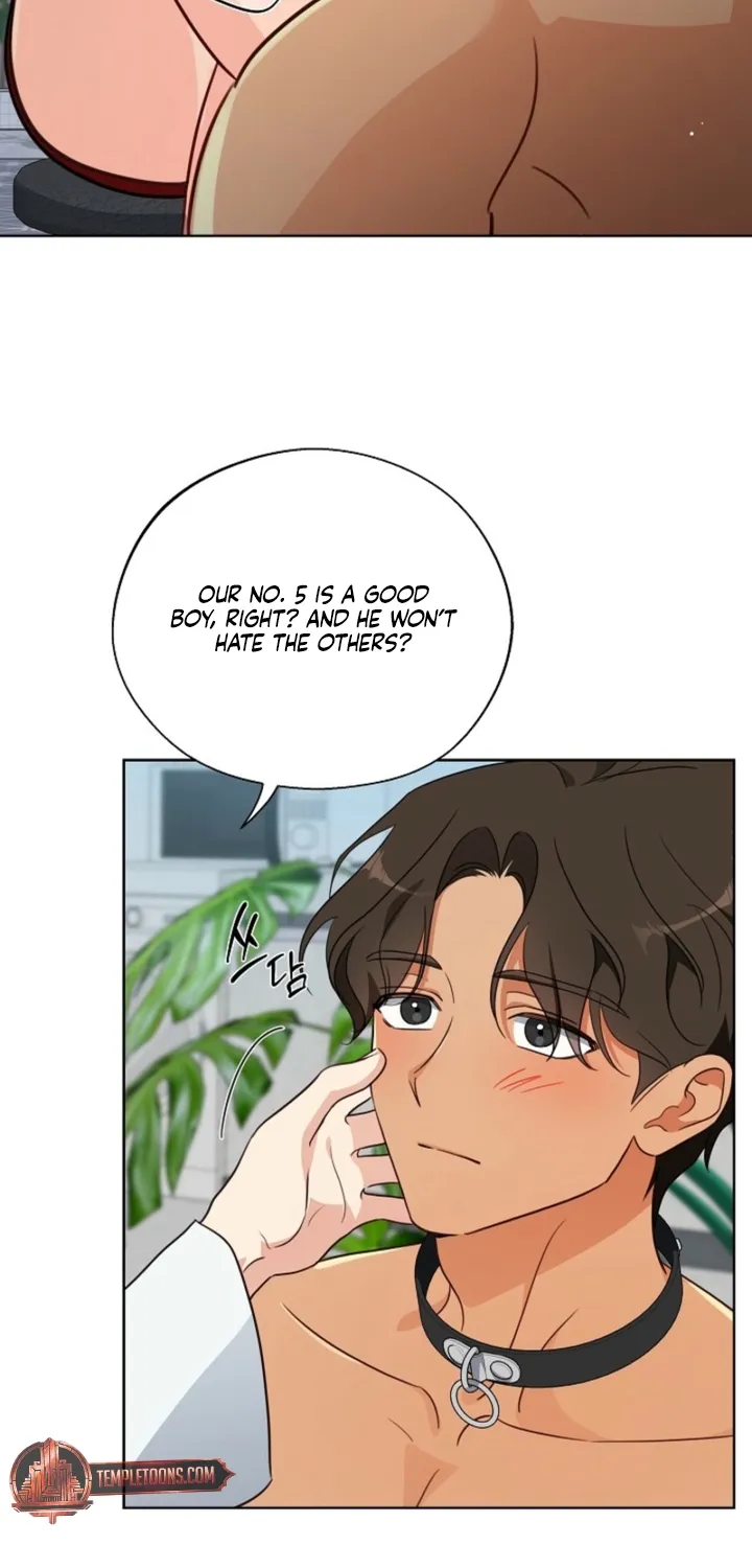 Males In The Breeding Room Chapter 5 page 57 - 
