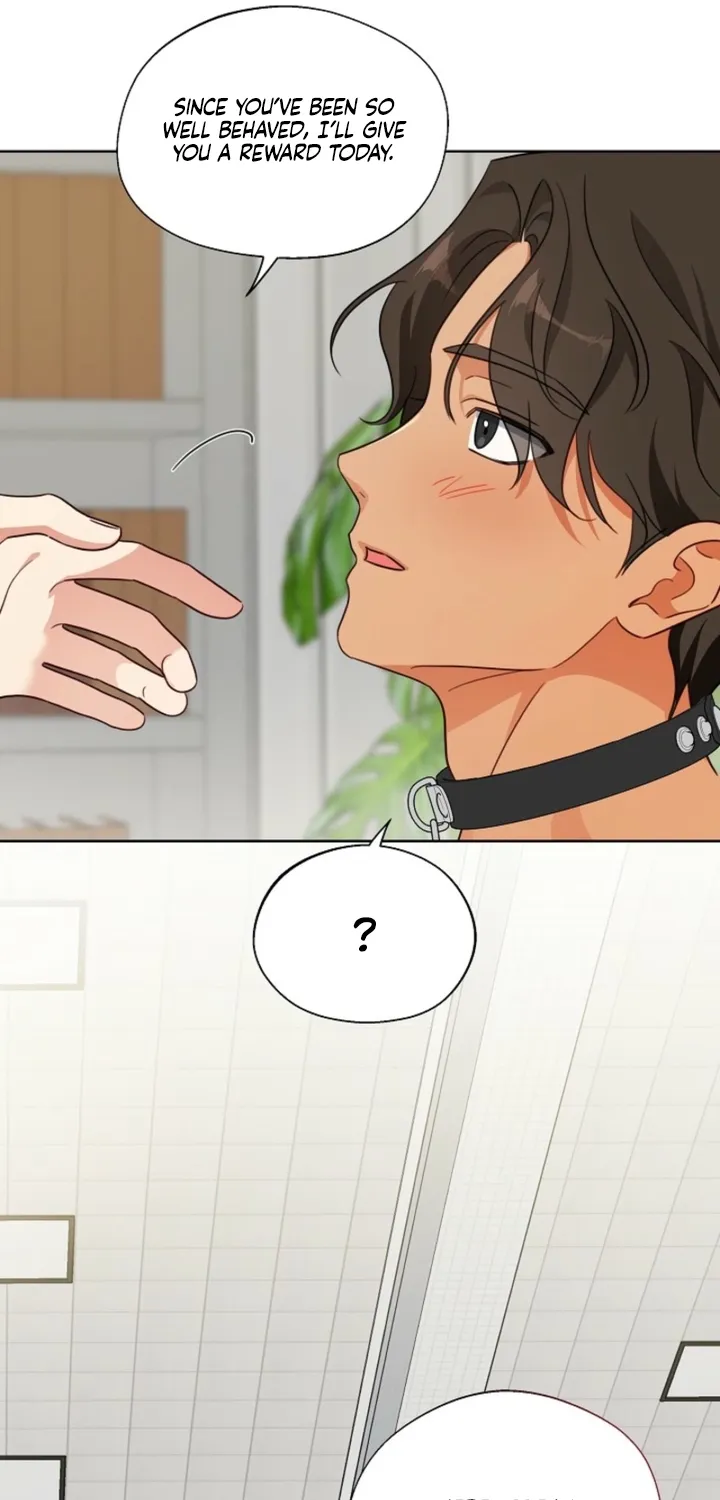 Males In The Breeding Room Chapter 5 page 59 - 