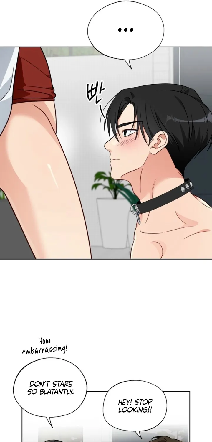 Males In The Breeding Room Chapter 6 page 51 - 