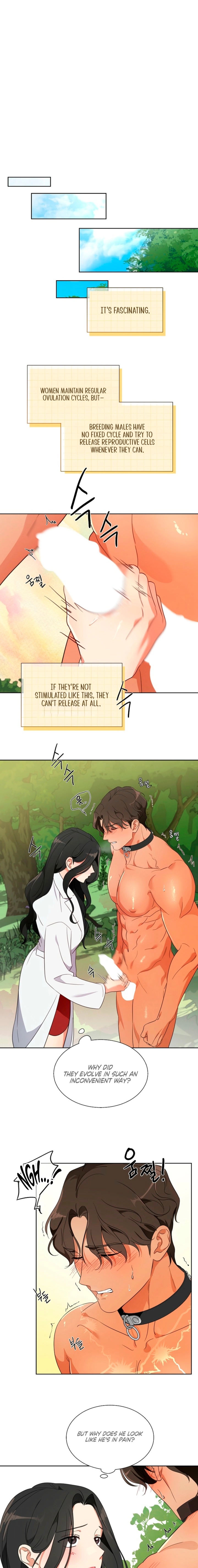 Males of the breeding room Chapter 1 page 11 - 