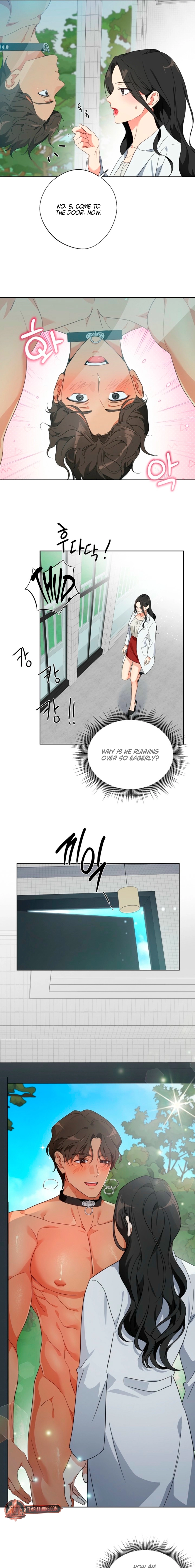Males of the breeding room Chapter 1 page 17 - 