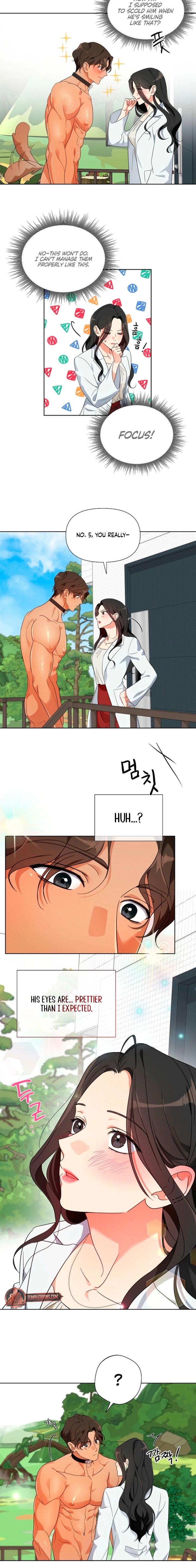 Males of the breeding room Chapter 1 page 18 - 