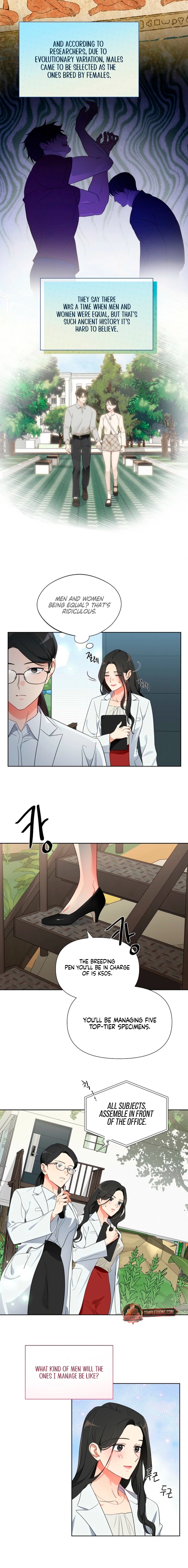 Males of the breeding room Chapter 1 page 6 - 