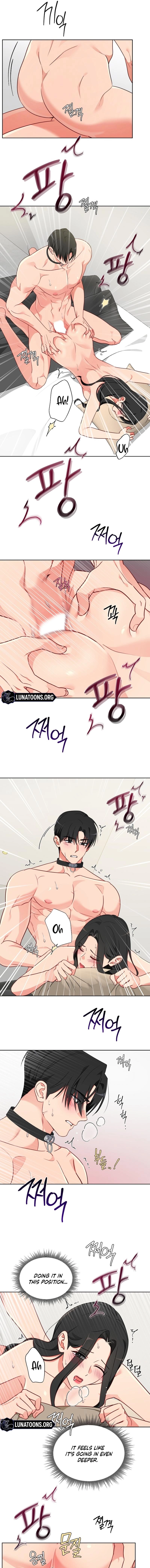 Males of the breeding room Chapter 11 page 5 - 