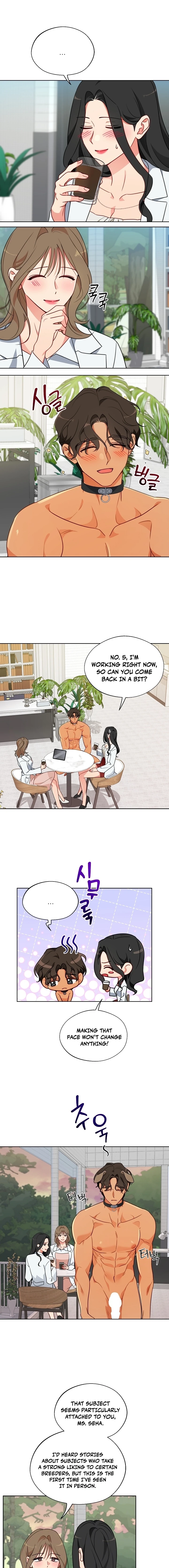 Males of the breeding room Chapter 12 page 5 - 