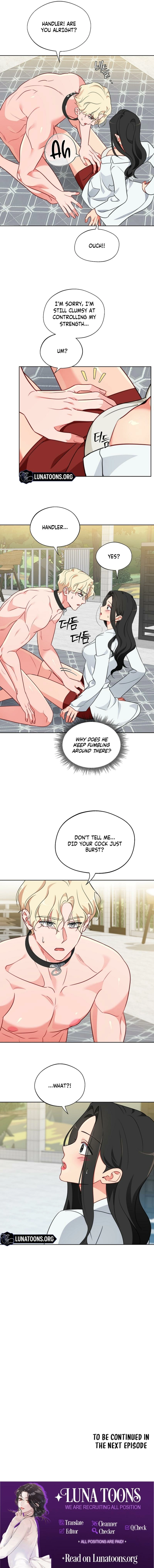 Males of the breeding room Chapter 13 page 11 - 