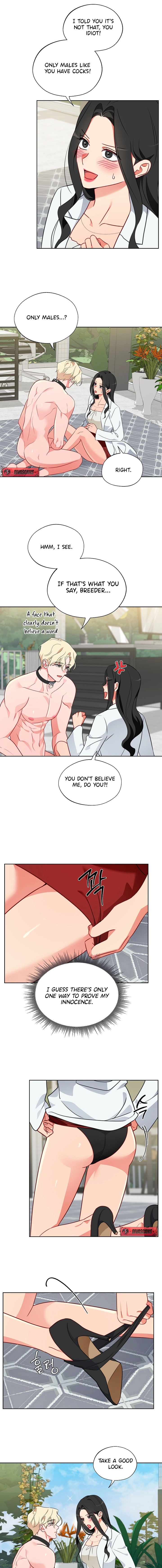 Males of the breeding room Chapter 14 page 3 - 