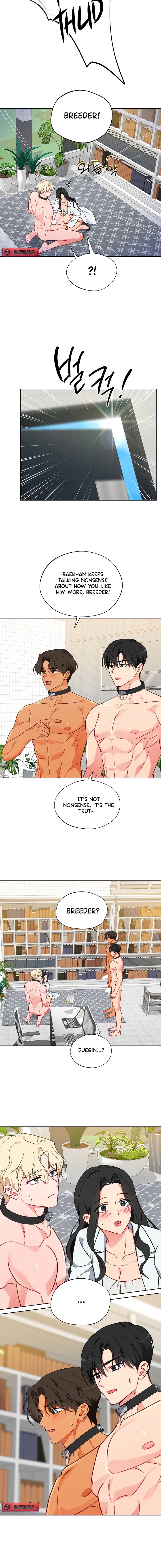 Males of the breeding room Chapter 14 page 10 - 