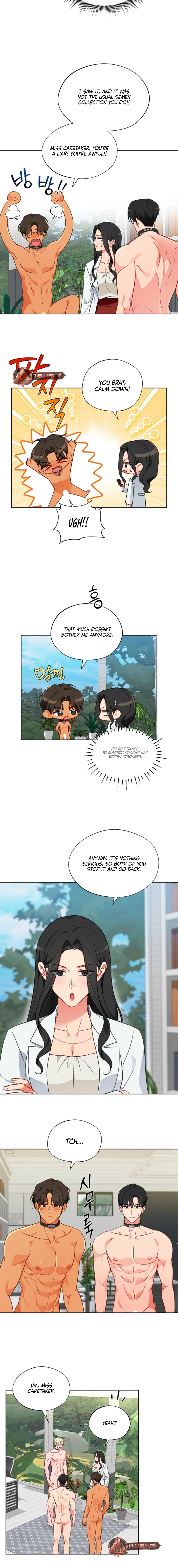 Males of the breeding room Chapter 15 page 2 - 