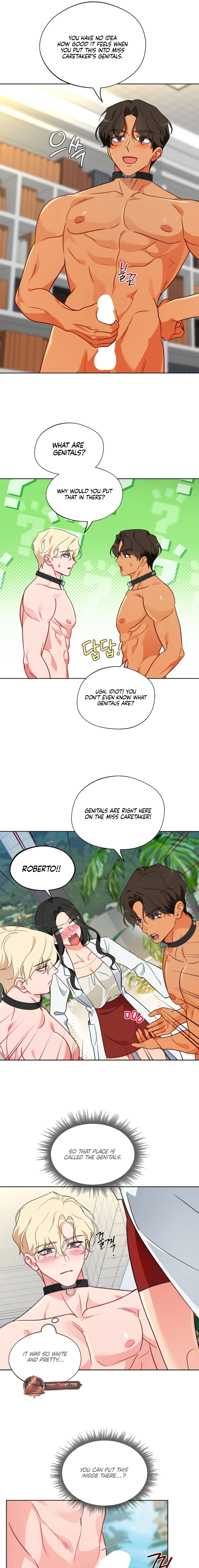 Males of the breeding room Chapter 15 page 5 - 