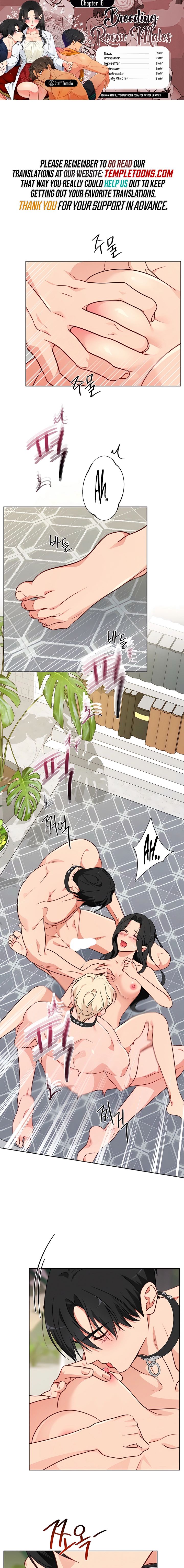 Males of the breeding room Chapter 16 page 1 - 