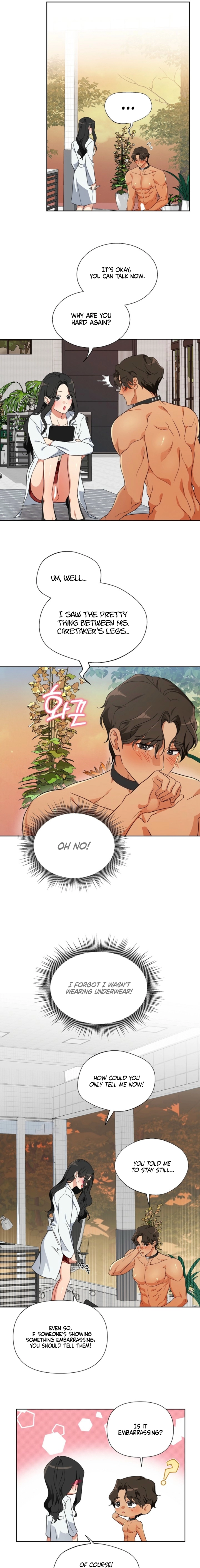 Males of the breeding room Chapter 2 page 11 - 
