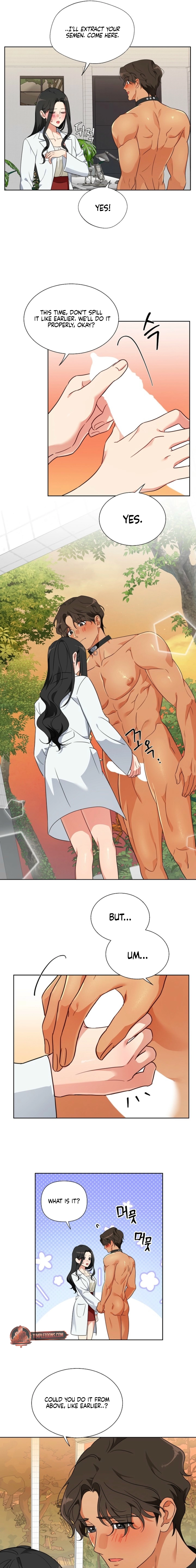Males of the breeding room Chapter 2 page 13 - 