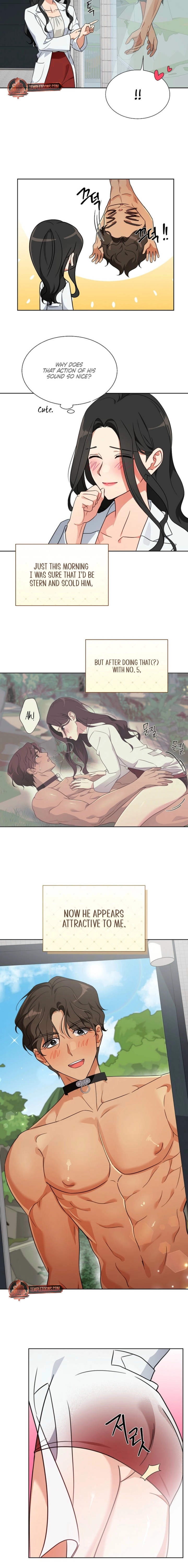 Males of the breeding room Chapter 2 page 8 - 