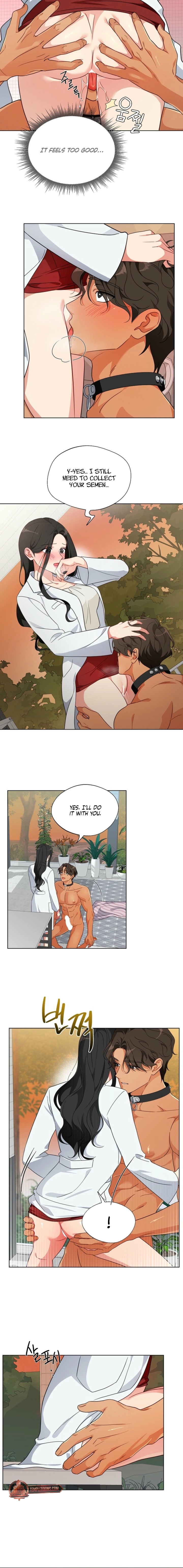 Males of the breeding room Chapter 3 page 2 - 