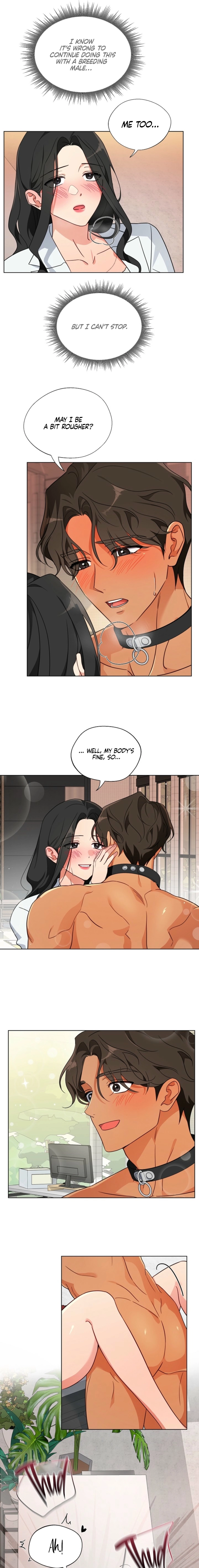 Males of the breeding room Chapter 3 page 7 - 