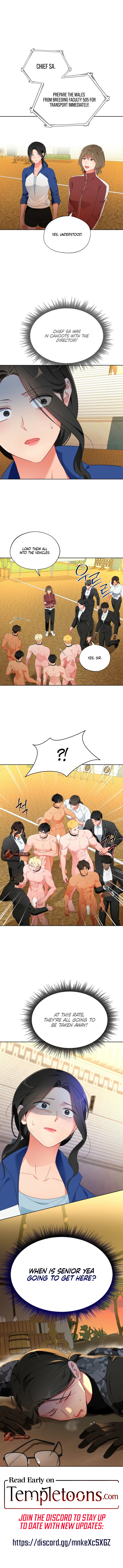 Males of the breeding room Chapter 30 page 8 - 