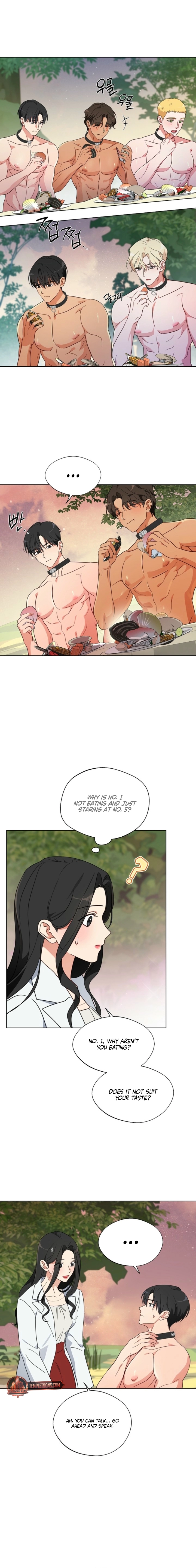 Males of the breeding room Chapter 4 page 16 - 
