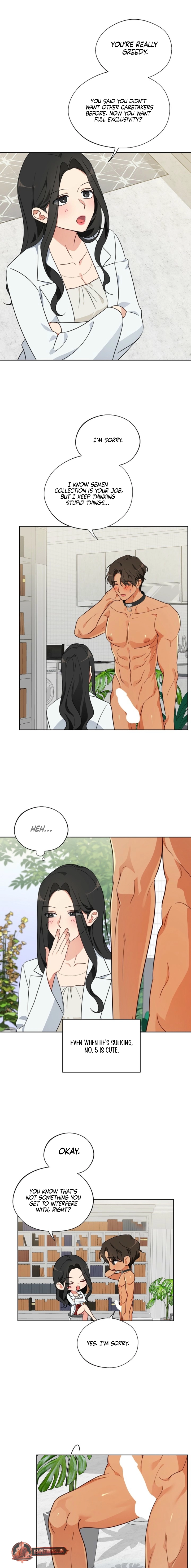 Males of the breeding room Chapter 5 page 13 - 