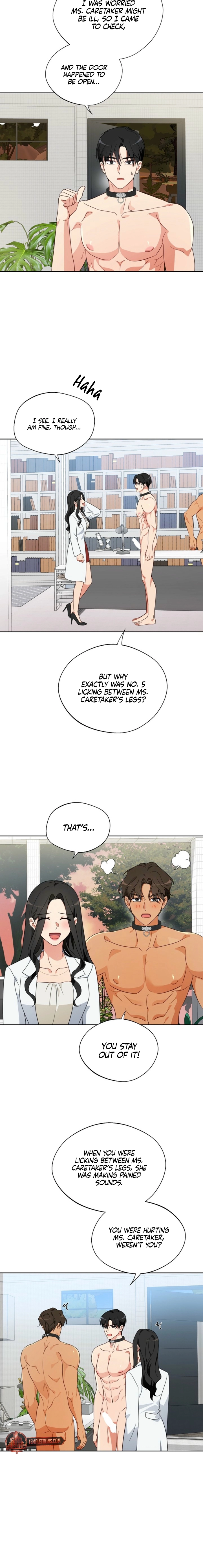 Males of the breeding room Chapter 6 page 6 - 