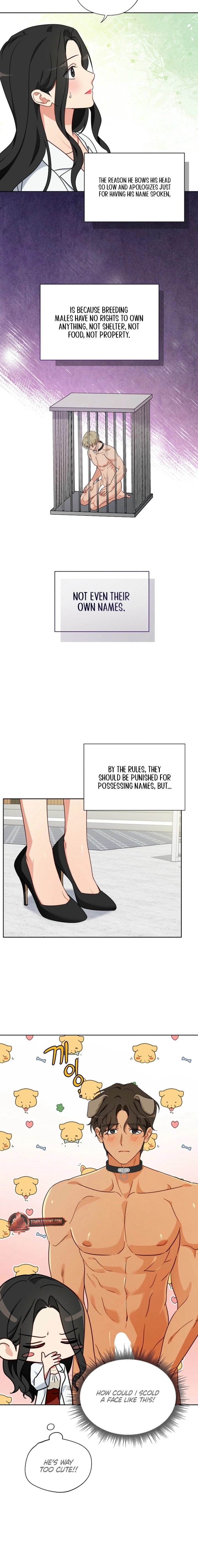 Males of the breeding room Chapter 6 page 8 - 
