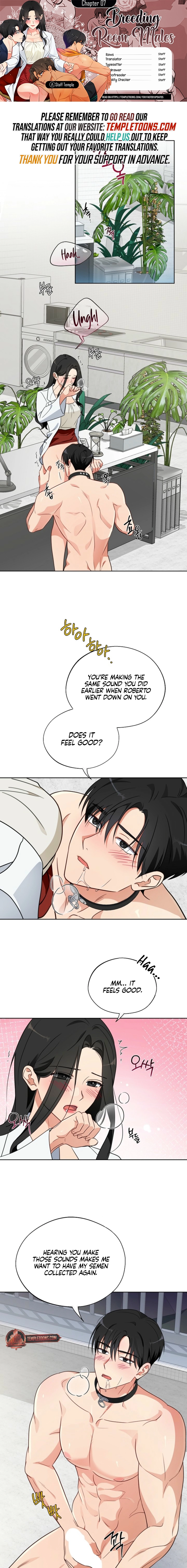 Males of the breeding room Chapter 7 page 1 - 