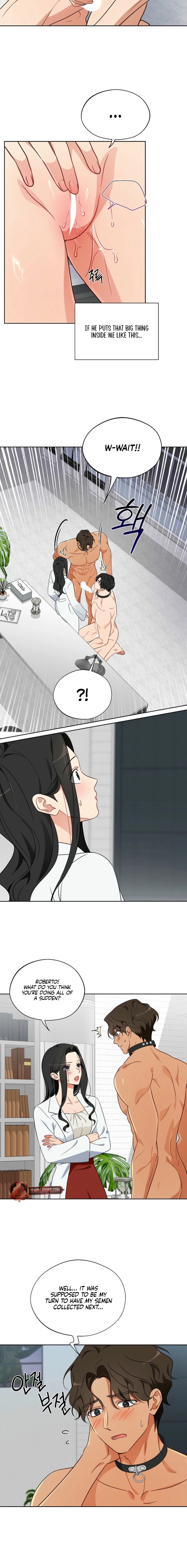 Males of the breeding room Chapter 7 page 2 - 
