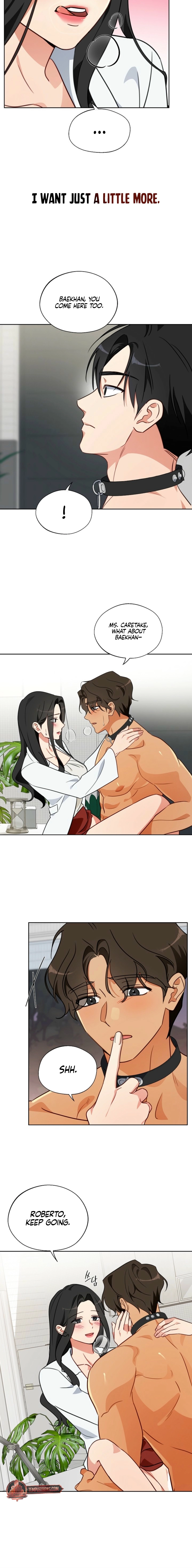 Males of the breeding room Chapter 7 page 12 - 