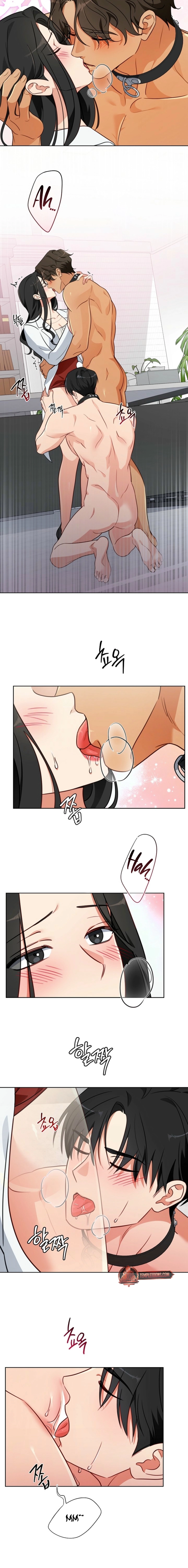 Males of the breeding room Chapter 7 page 6 - 